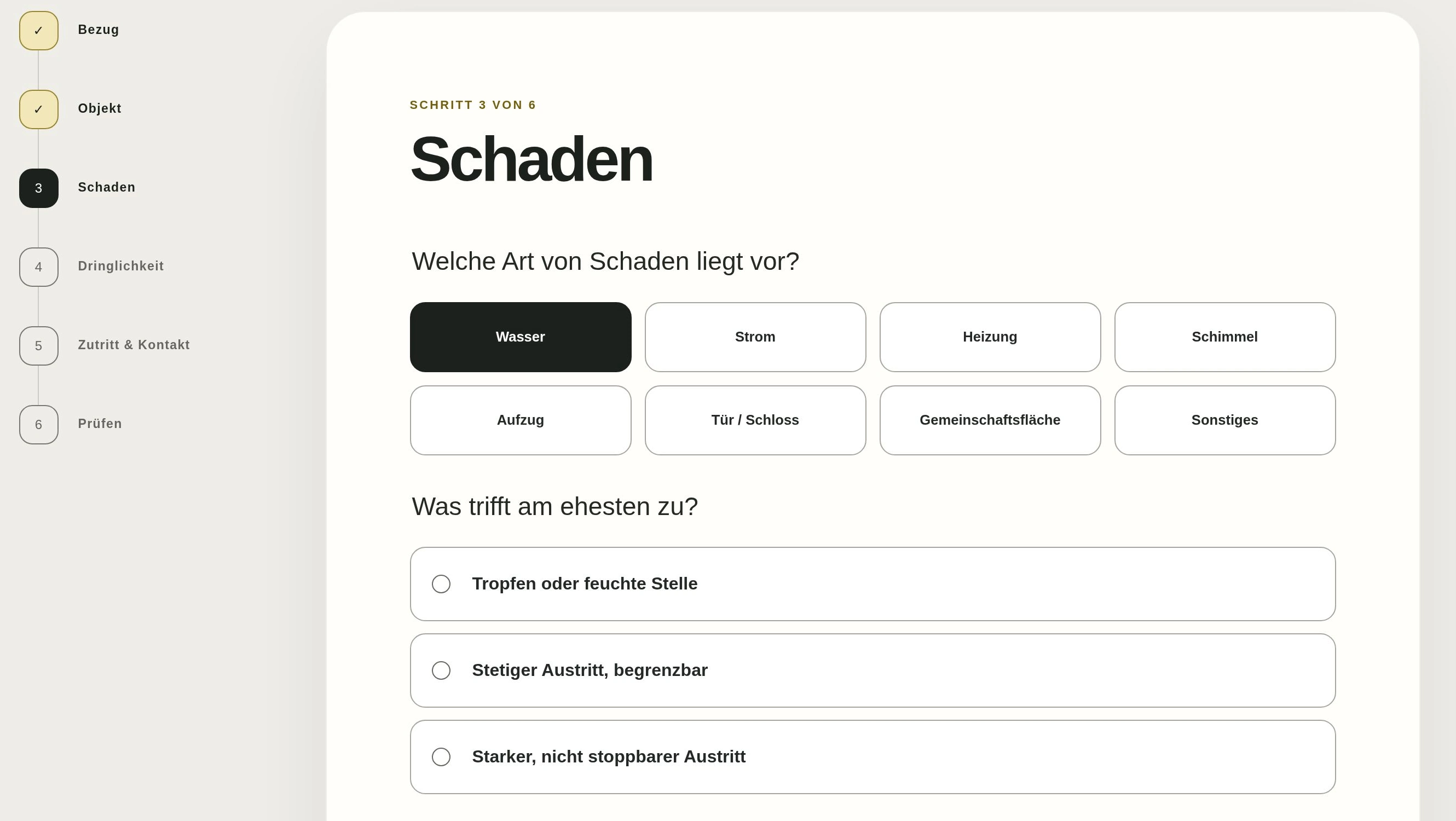Original des Schadenassistenten mit ausgewähltem Wasserschaden, passenden Folgeoptionen und sichtbarer Schrittfolge.